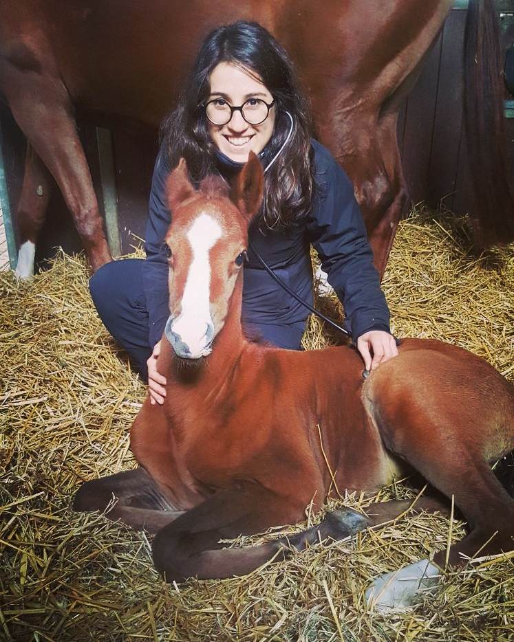 #DünyaVeterinerHekimlerGünü müz kutlu olsun 🦄🐎🦓