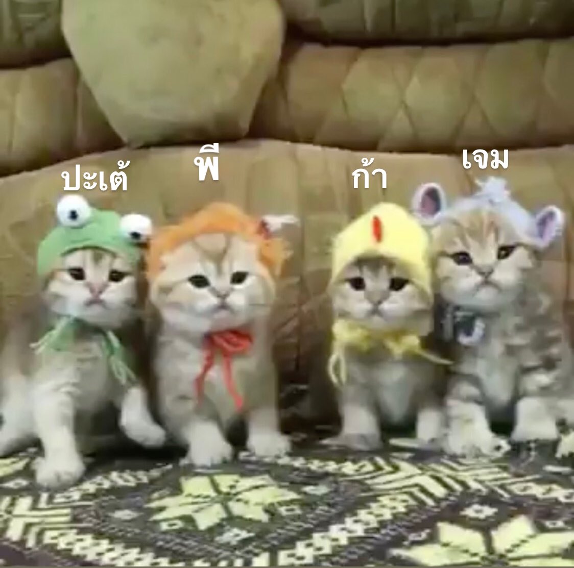 หนีแอคหลักมาโบ๊ะบ๊ะ(slow) tweet media