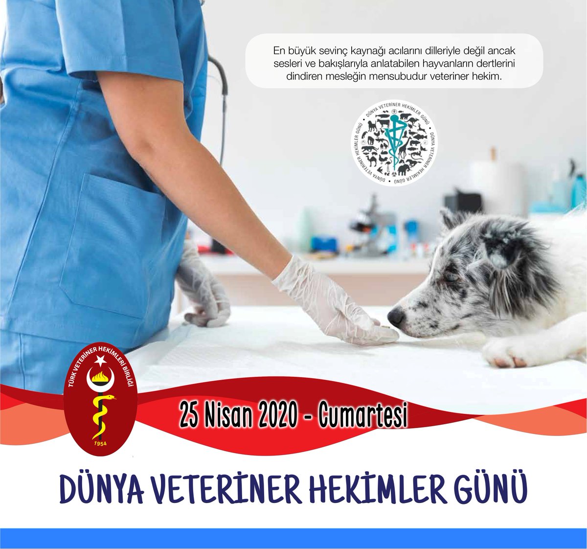 #DünyaVeterinerHekimlerGünü kutlu olsun...
