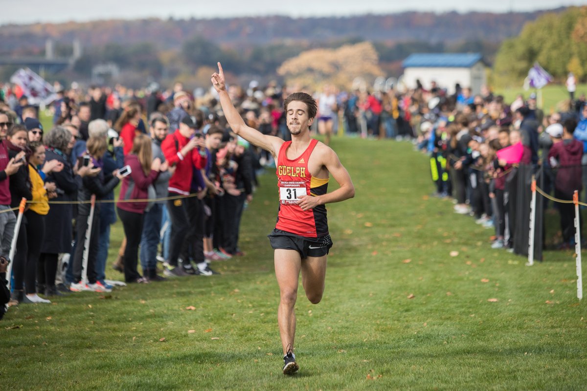 Guelph Gryphons tweet media