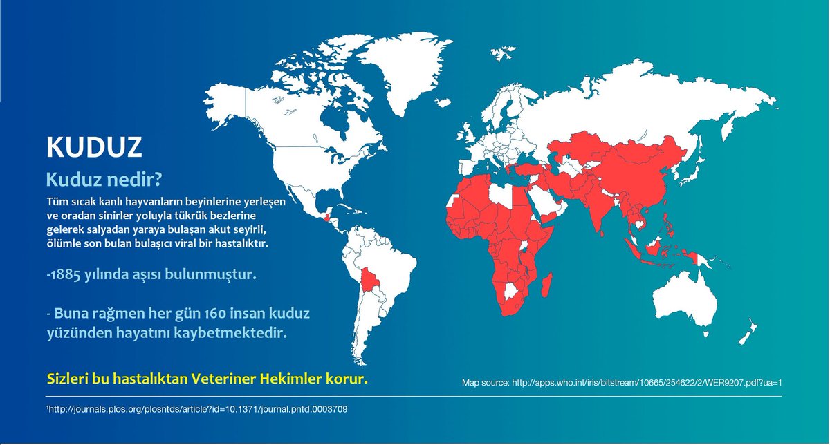 Herkesin korktuğu hastalık Kuduz! Sizler bu hastalığa yakalanmayın diye Veteriner Hekimler kalkan görevi görüyor. Tüm meslektaşlarımızın #DünyaVeterinerHekimlerGünü kutlu olsun.