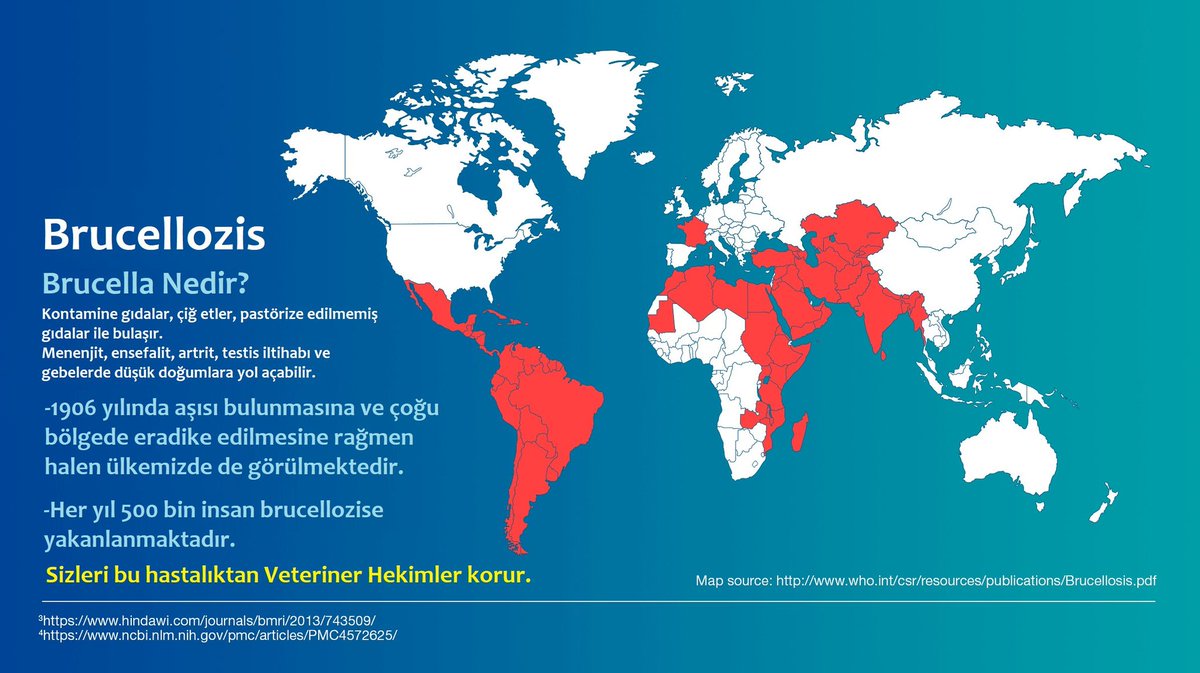 Brusellozis hayvanlardan insana bulaşan bir hastalıktır. Gebelerde düşük doğumlara ve erkeklerde kısırlığa neden olur. Kontamine çiğ et ve pastörize edilmemiş süt ve süt ürünleri ile bulaşır. Sizi bu hastalıktan Veteriner Hekimler korur. #DünyaVeterinerHekimlerGünü