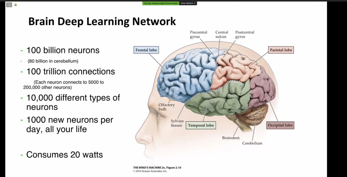 You know what also increases your neural connections? Watching ICCP talks  #iccp2020