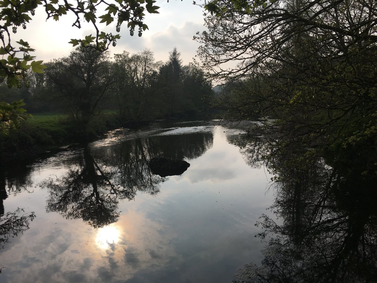 WRCgerardquinn's tweet photo. Self isolating here for a while before continuing my walk home.  
#Macroom #Sullane #Cork https://t.co/b6N2AmKAii