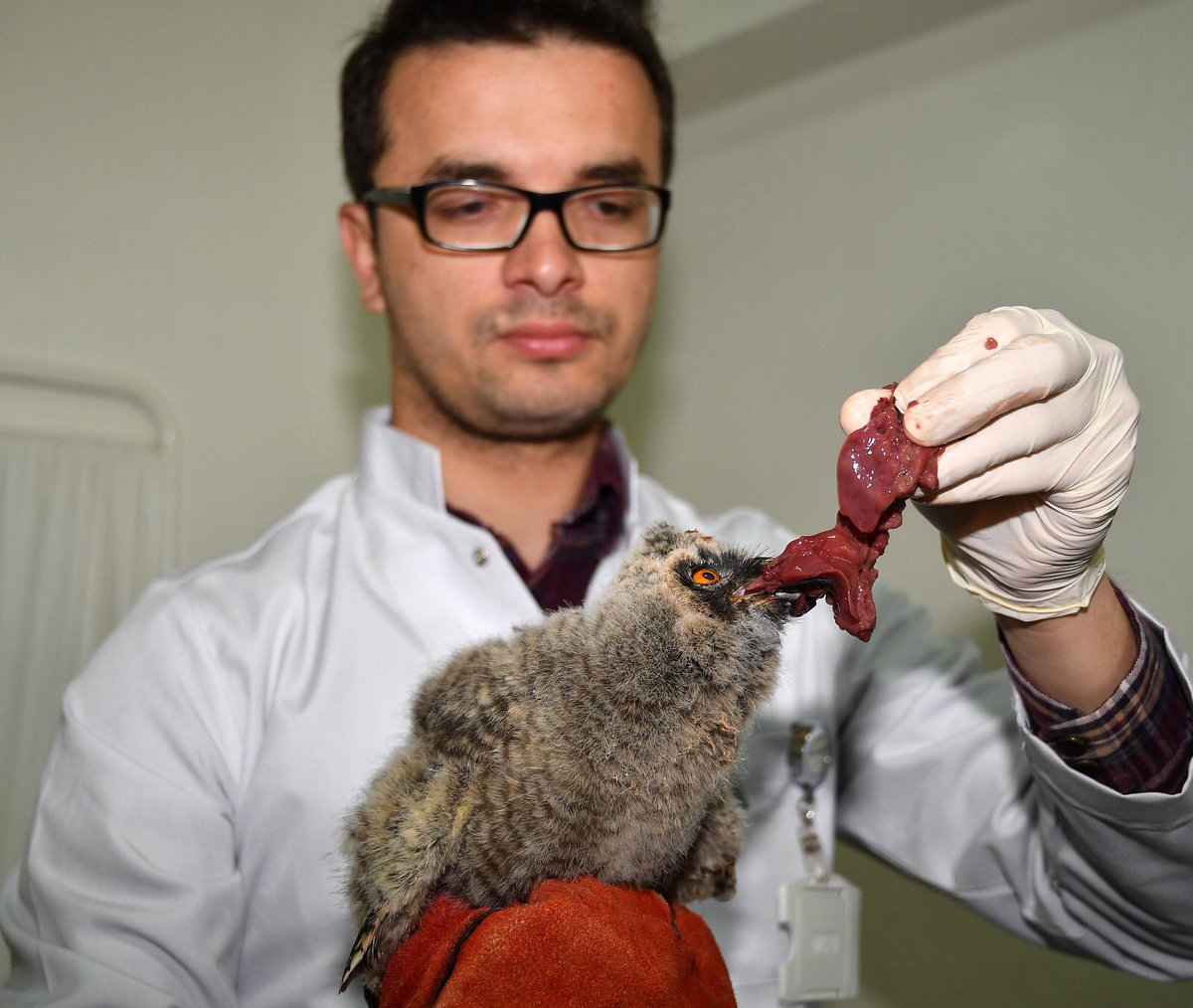 Çünkü bir tecrübe etsen senin aklın da yatar. Bize insan hekiminden daha lazım baytar...
                                Mehmet Akif Ersoy
#DünyaVeterinerHekimlerGünü
#VeterinerHekim
#bizveterinerhekimiz
#veterinerhekimsizsağlıkolmaz