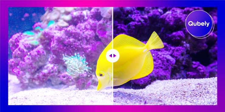 Ahoidev's tweet image. Hot off the press: Qubely Rolls Out New #ImageComparison Block ▸ lttr.ai/PyC6 #WordPress #Gutenberg