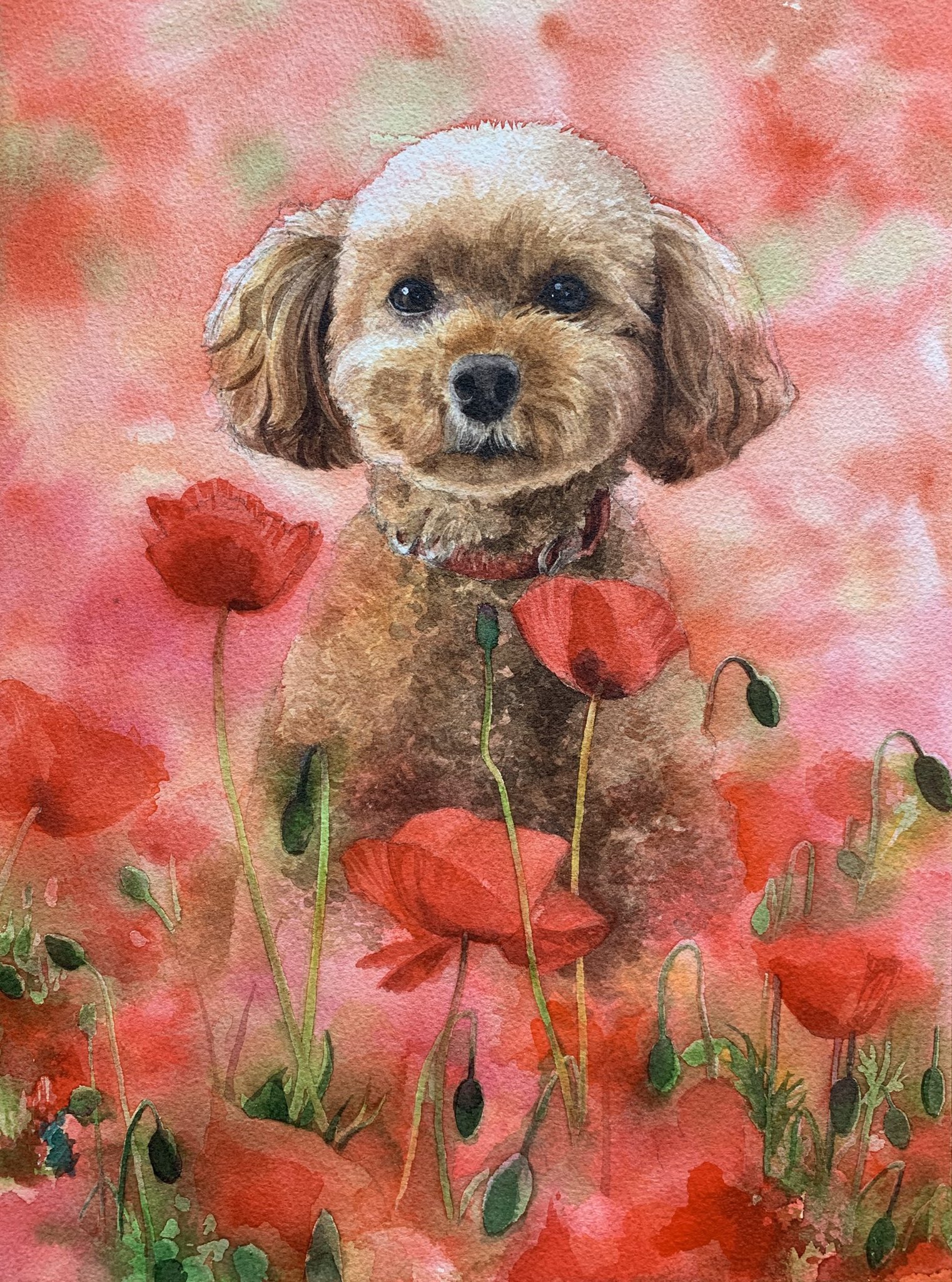 Twitter 上的coco Watercolor 水彩画 透明水彩 トイプードル 犬 Toypoodle Watercolor Art Dog Painting T Co 5yuddqvk1p Twitter