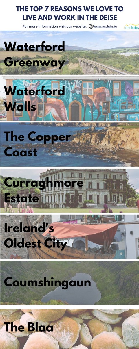 Aisling O' Neill tweet media