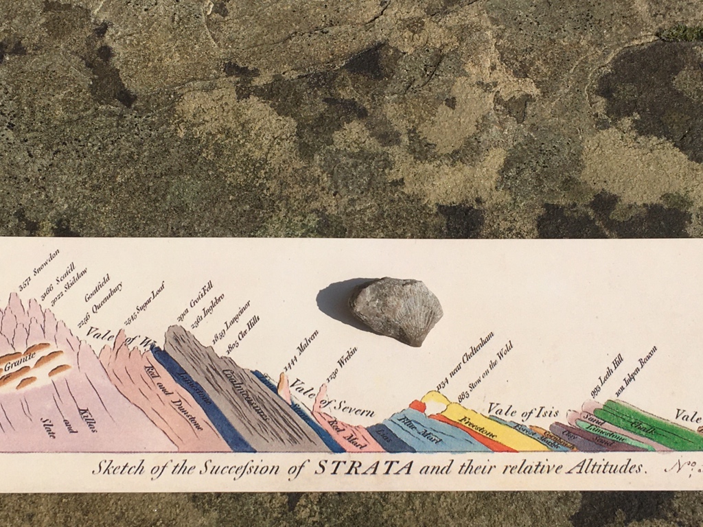 jr_carpenter's tweet photo. Here is a piece of garden gravel which I suspect of being a fossil with a bookmark of a sketch of a geological section from William Smith’s famous 1815 geological map of England (bookmark from British geological survey library, obviously) #geohist https://t.co/GiPgNBpV81