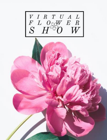 We're taking part in the #virtualflowershow 25 &amp; 26 April
hosted by <a href="/dibleys/">Dibleys Nurseries</a> visit virtualflowershow.co.uk
or facebook.com/events/6411294…
view our videos vimeo.com/showcase/68995… 
#cactuscouple #cacti