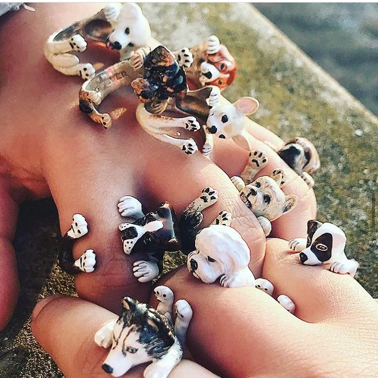 RisiSilvia's tweet photo. #Cuccioli in cerca di #amore!!! 😍😍😍 Risi Gioielli:https://t.co/7vQWEFcLQn
#AmiciSpeciali #dogring #dogs #DogsofTwittter #gioielli #dogfever #anelli #freeshipping #shopping #shoppingonline #love #like4like #girl https://t.co/gEU2qUMlCw