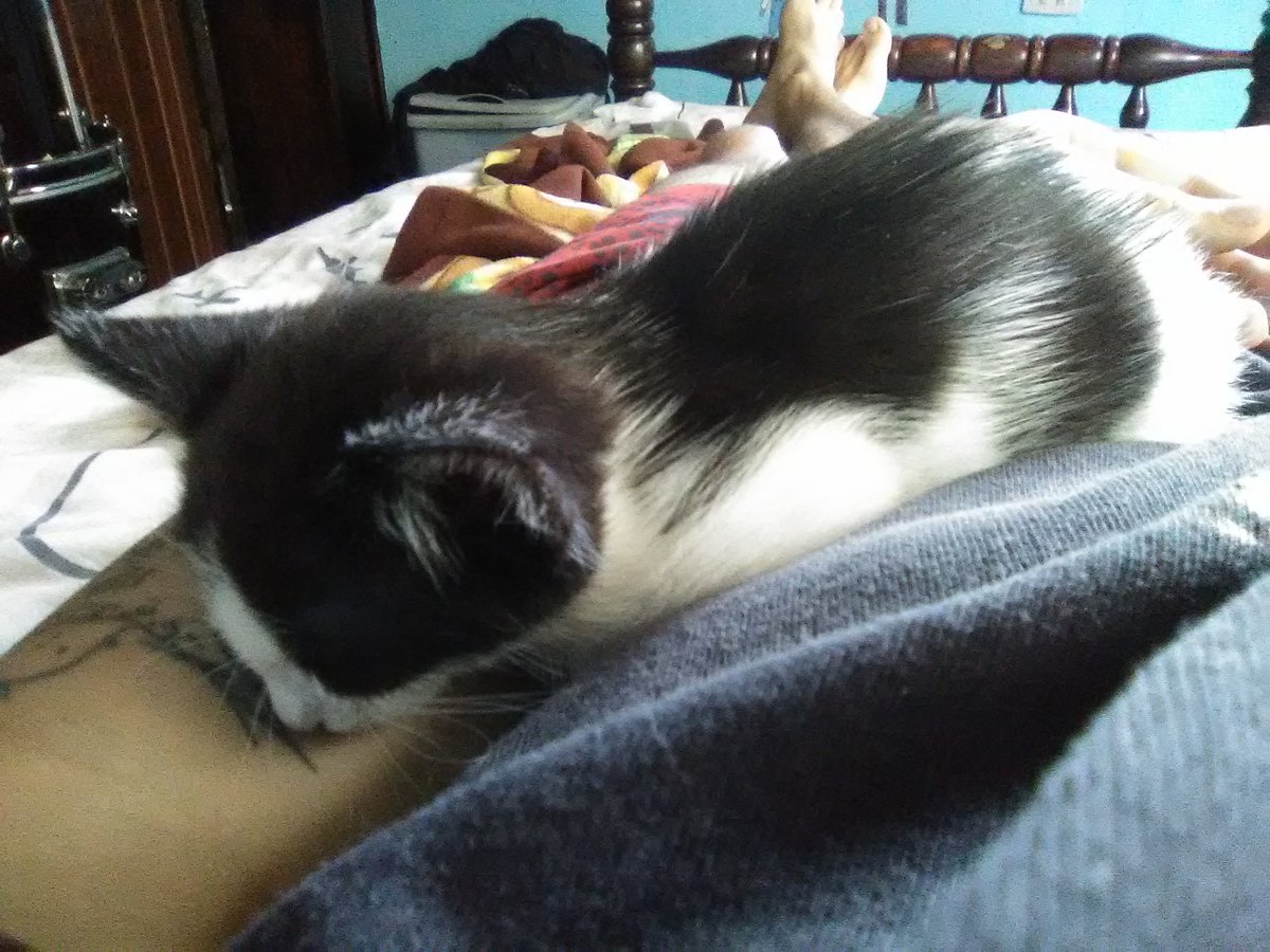 1YisusLive's tweet photo. Epale Blacky https://t.co/glry0a8cB4