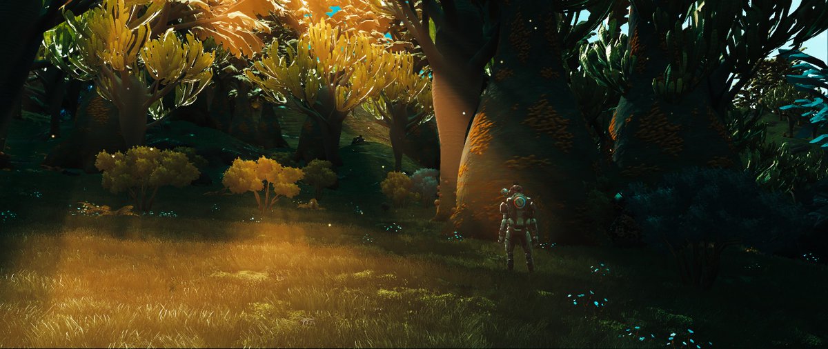 Silu_et's tweet photo. #NoMansSky
@NoMansPics
@NoMansSmile
@_GameScreenshot
#ScreenshotAddict #IStop4Screenshots https://t.co/1Xb8aQ91PP