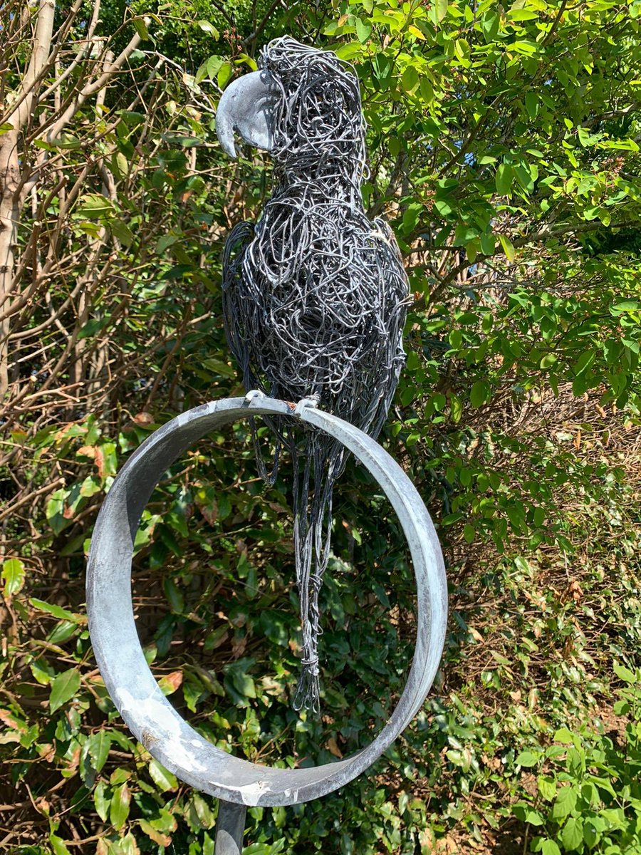 ruperttill121's tweet photo. My parrot, a cheeky little one I made a few years ago! Get in touch today to commission your bird 🦜 #Sculpture #WireSculpture #ArtGallery #GardenArt #GardenSculpture #ArtInTheGarden #Wildlife #Animals #Parrot #RTillSculptures https://t.co/06bFPbQG8O
