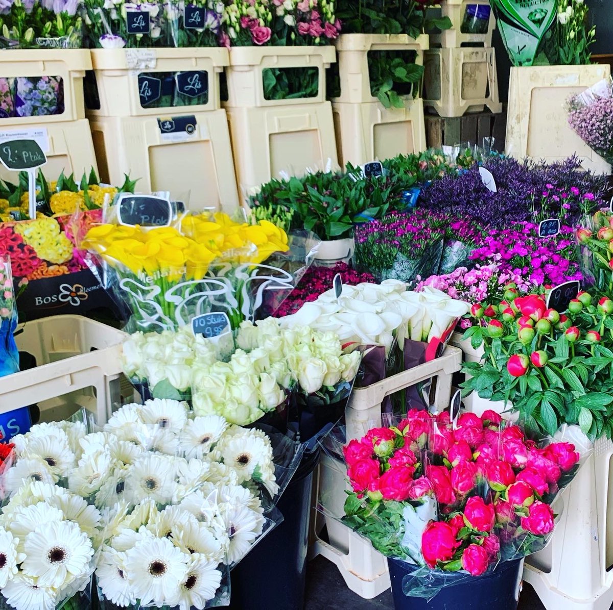 SannaMun's tweet photo. Door @Ilsezaal uitgedaagd om mee te doen aan de #flowerboostchallenge 💐 door een paar bossen bloemen te kopen steun ik de sierteeltsector én de lokale bloemenwinkel in mijn buurt. Ik geef dit bloemenstokje door aan @BerberavanT #Supportlocal #supportyourlocal 🍀 https://t.co/SPCbwPP2BL