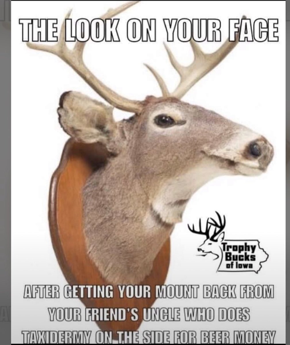 Britt_Jill_'s tweet image. 😂🤣😂🤣