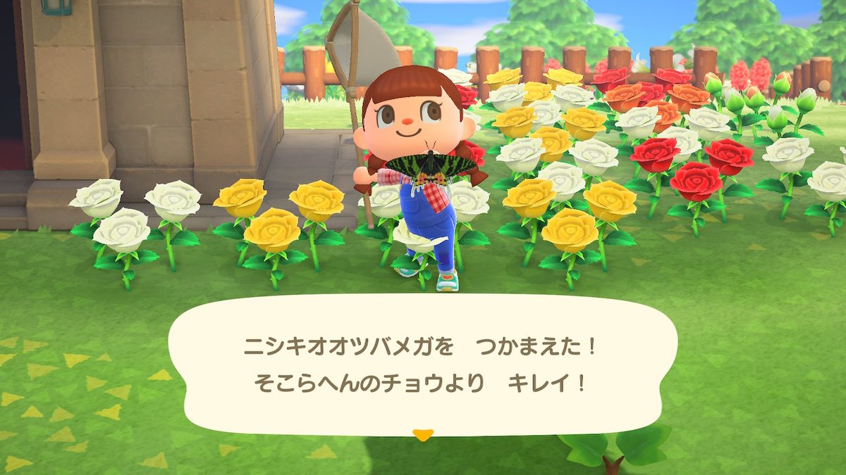 土竜 En Twitter ニシキ とつく名前の生き物を家の中に置きたいのと かわいいカミツキガメ どうぶつの森 Animalcrossing Acnh Nintendoswitch