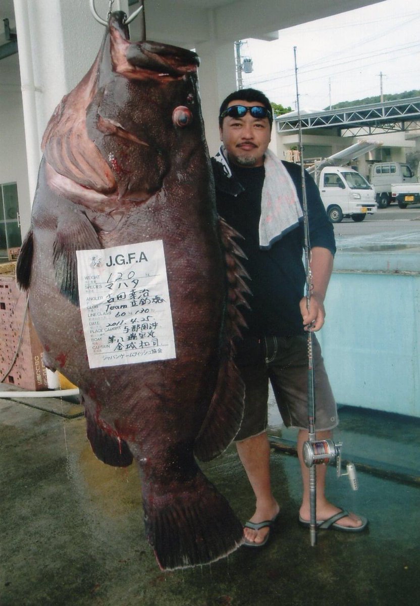 TheIGFA tweet picture