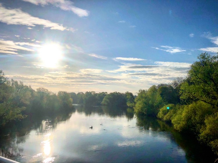 The University of Limerick, still and quiet during what would usually be a busy time

📷Stunning photo captured by @rowan_fitz21

#UniversityofLimerick #rivershannon #sun #ULInternational #examweather #livingbridge #staysafe #stayhome #quiet