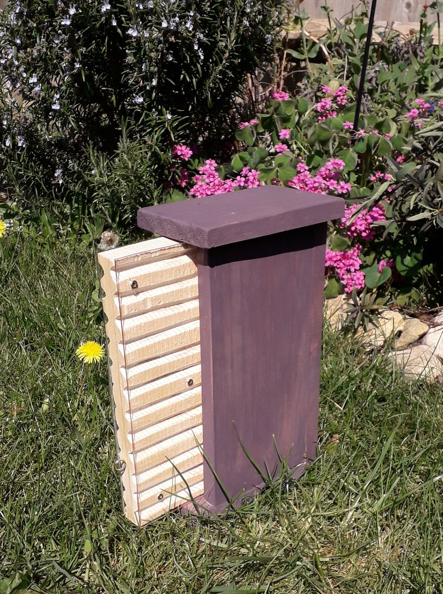 JDBaker81's tweet photo. Wanted one of these for ages!! #homemade #beehotel #DidcotBugs https://t.co/cZPR8S4I4k