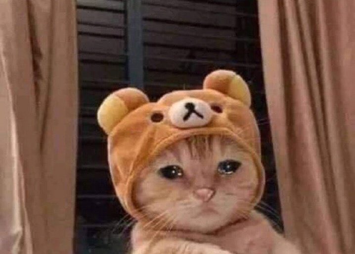 🥺
