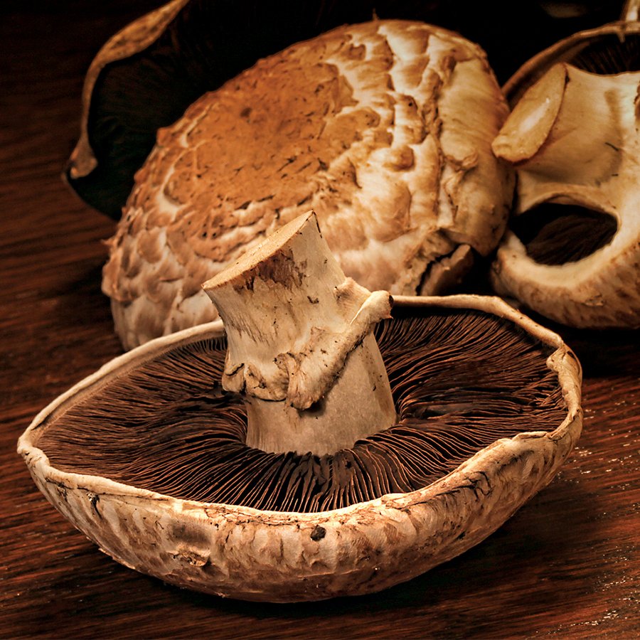 Park Seed tweet media