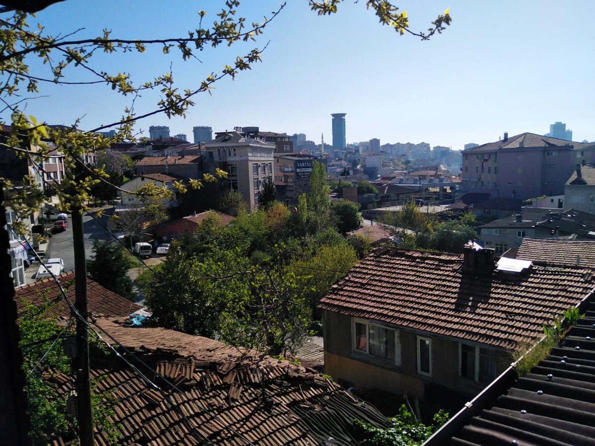 Covit 19 zu terastan izlemek