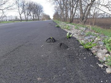 Відновлення роботи київського метро планується на 31 травня, але їздити зможуть не всі - Цензор.НЕТ 8456