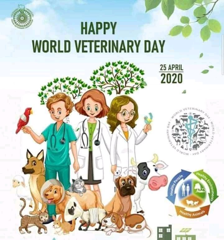 Dr_Ibrahim_A_A's tweet image. This isn't just a job, it's a passion 
#HappyWorldVeterinaryDay