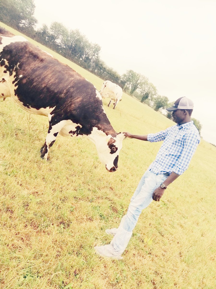 Dr_Ibrahim_A_A's tweet image. This isn't just a job, it's a passion 
#HappyWorldVeterinaryDay