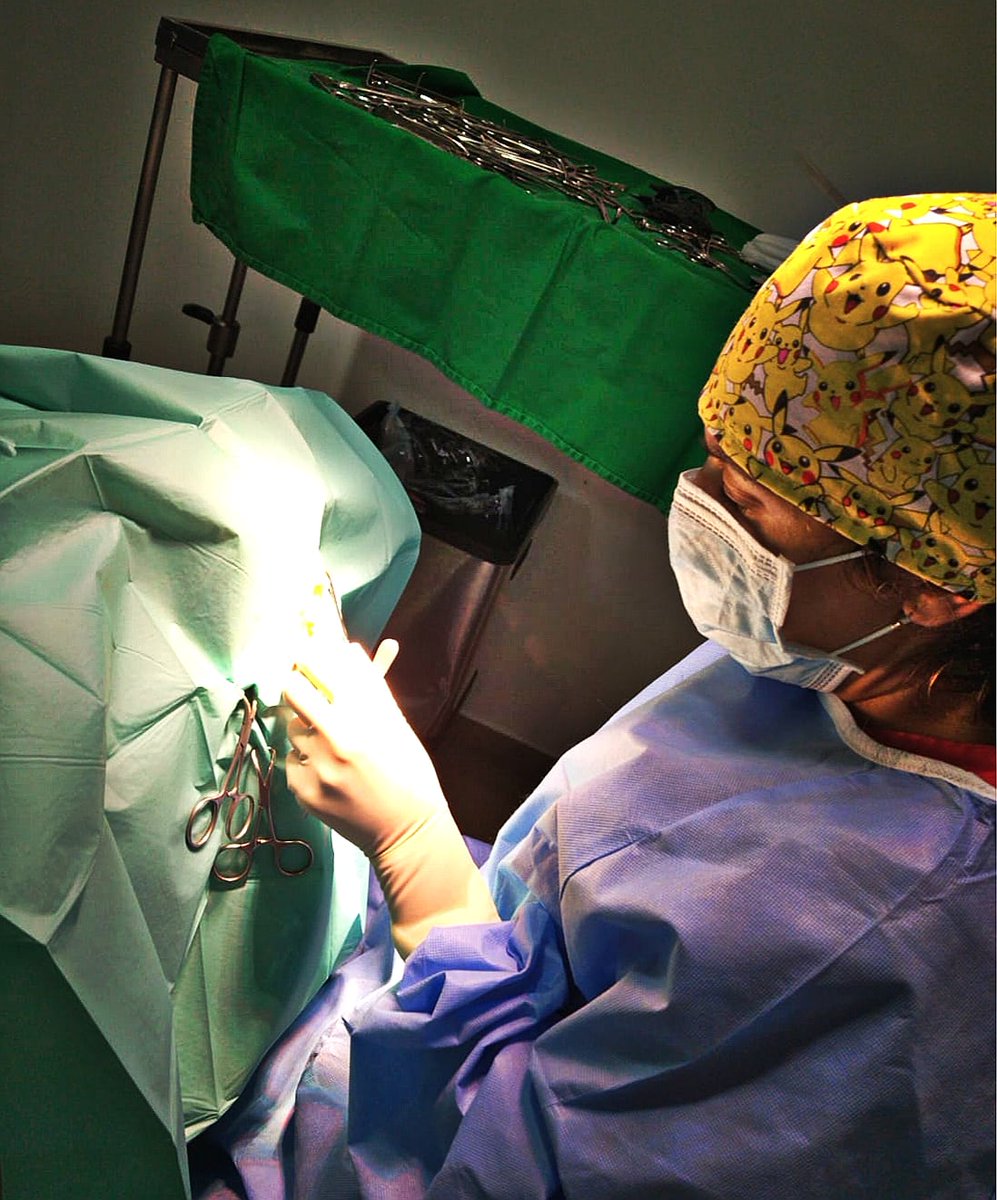 BOYCAN Veterinarios tweet media