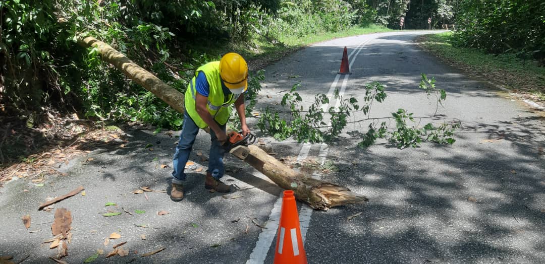 RcBentong's tweet photo. #teamroadcare kerja bersih #pokoktumbang di #ft55 sec45.8 #raub @PetraJayaMP @MOWorks @JKRMalaysia @CSFJ_JKR @JKRPAHANG @JKR_Raub @Roadcare_Msia @Roadcare_Phg @ZTTCSFJ https://t.co/GHHHOp0hCT
