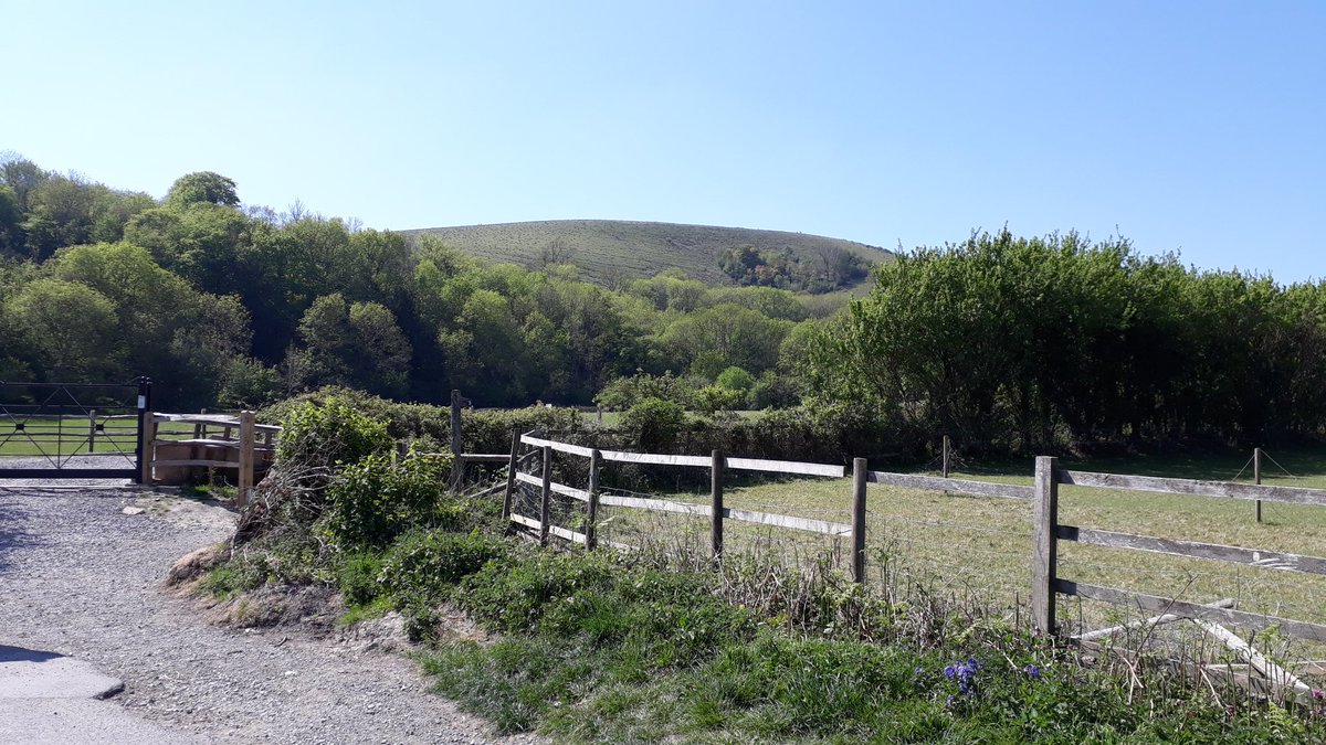 Chriswing14's tweet photo. Wolstonbury hill in the distance that was my target #MultipleSclerosis #mswarrior #footdrop #primaryprogressive https://t.co/EESKG5mnv2