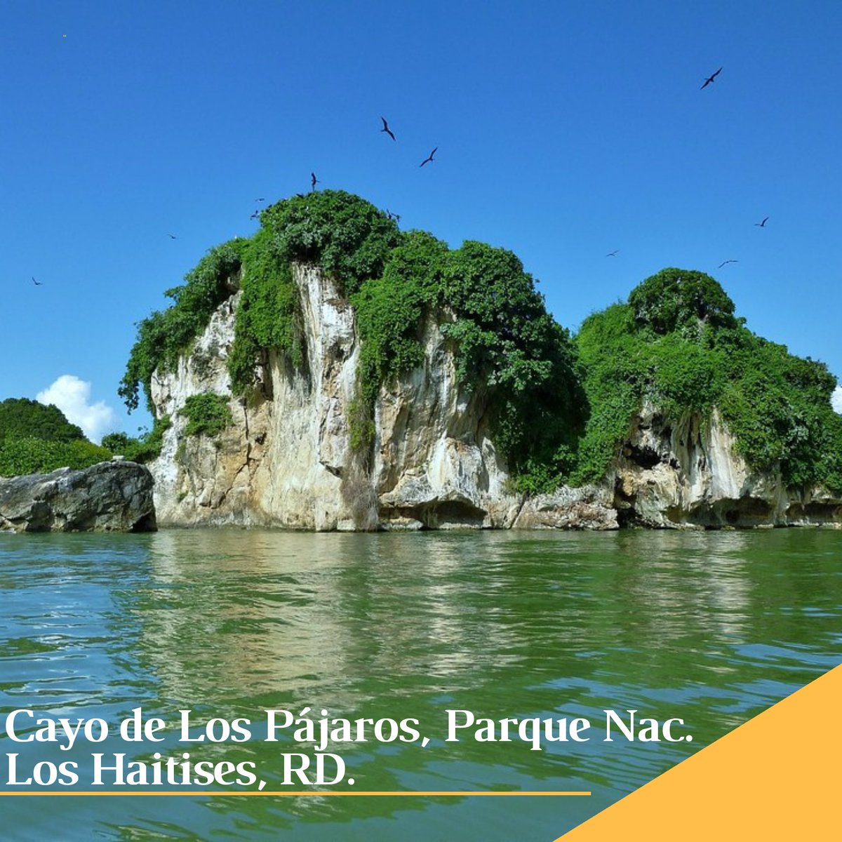 AmbienteRD's tweet photo. Feliz sábado🇩🇴 desde nuestros hogares podemos disfrutar de la belleza natural que nos brinda nuestro país ¡RECUERDA! si te #QuedateEnCasa venceremos el #CoronavirusEnRD @PresidenciaRD @SaludPublicaRD @senpard https://t.co/JO1kKIv192