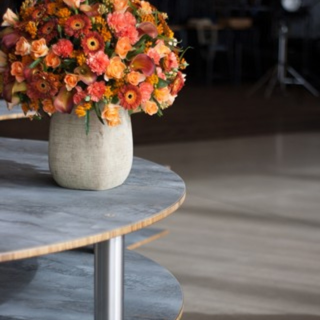 Mogogo F&B Furniture tweet media
