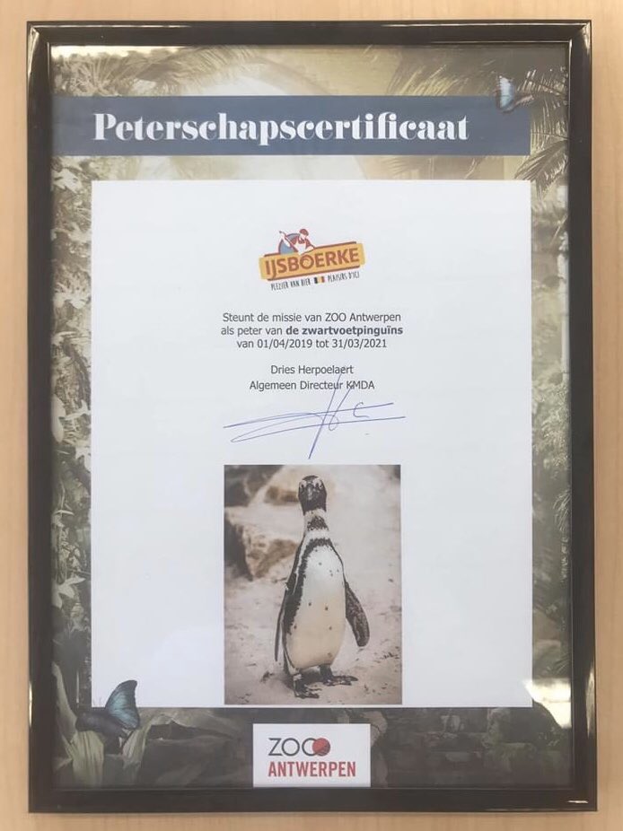 Vandaag is het wereldpinguïndag! Met <a href="/IJsboerke/">IJsboerke</a> zijn we de trotse peter van de humboldtpinguïns en de zwartvoetpinguïns in @zooplanckendael en @zooantwerpen . Zo helpen we deze olijke diersoorten een pootje. #ZOOsamen #pleziervanhier