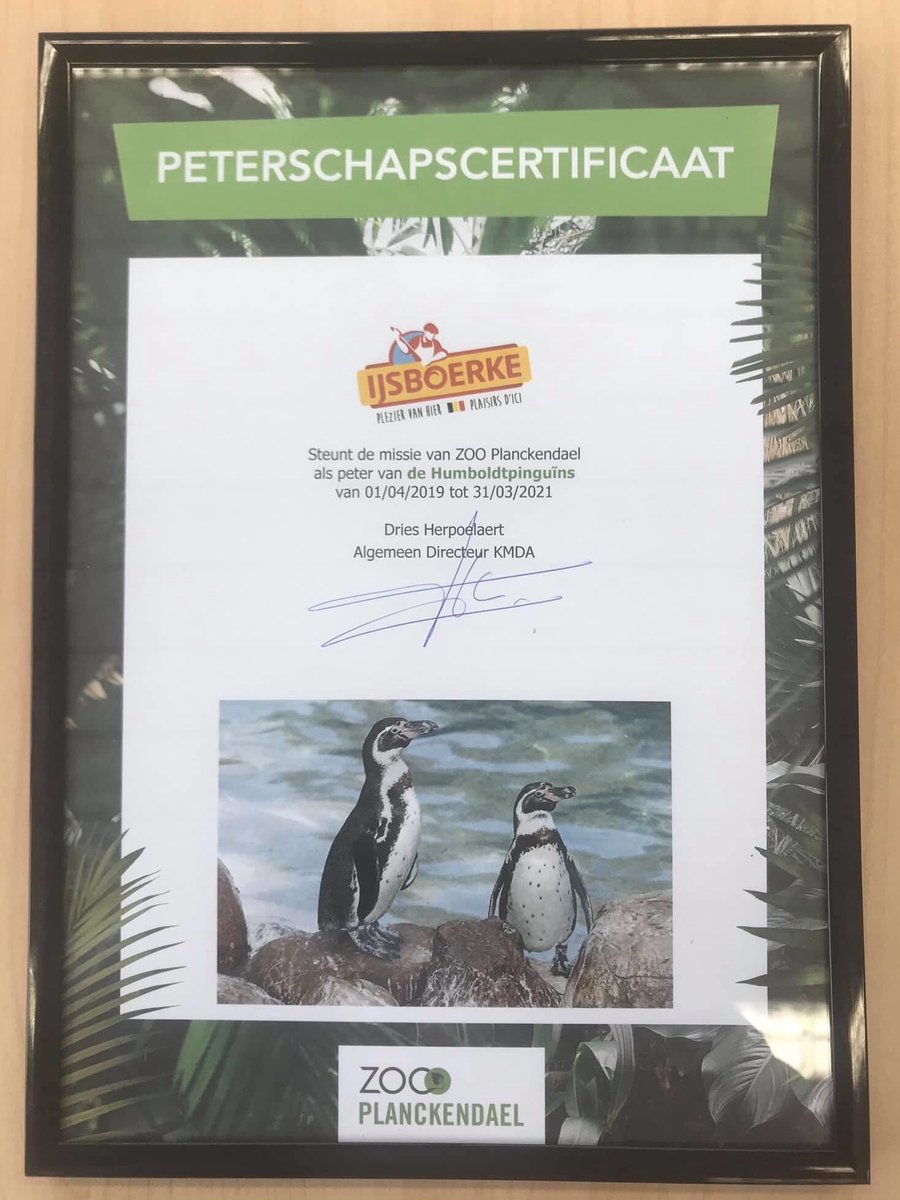 Jef Segers tweet media
