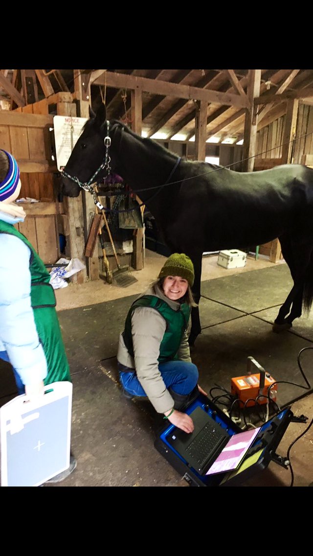 sebcourtney's tweet photo. Happy #WorldVeterinaryDay💚Big thank you to our wonderful Dr Erin for taking the best care of Trance and all our horses! Shoutout to all the veterinarians caring for animals big and small 😻@Psissy514Platt @Kimbchr #DialedInBaby Love this sweet baby boy #AddictedtoRehab 💚 https://t.co/PHDLPJM18l