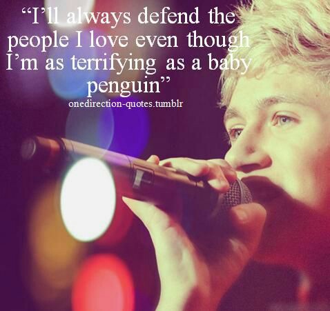 I'll always defend the people I love even though I'm as terrifying as a baby penguin- Niall Horan