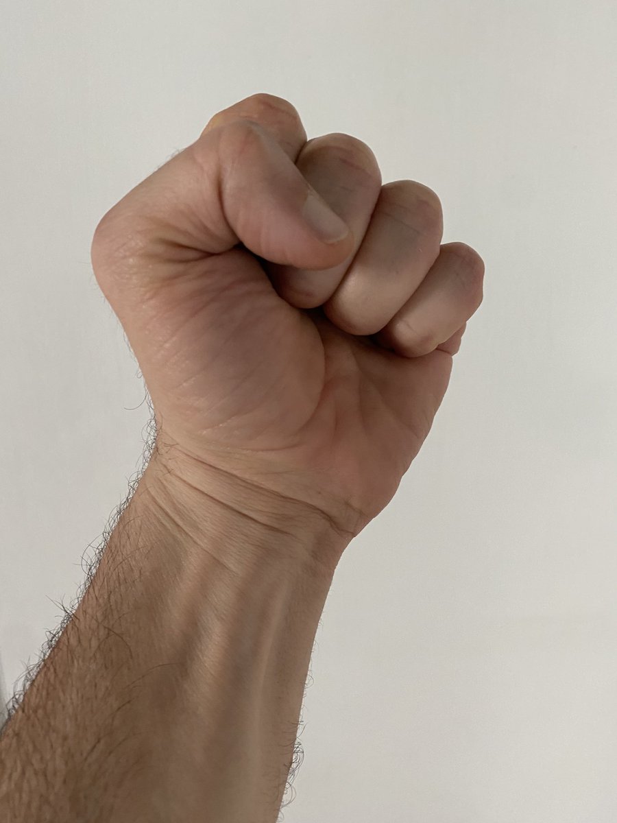 Gianrico Carofiglio tweet media