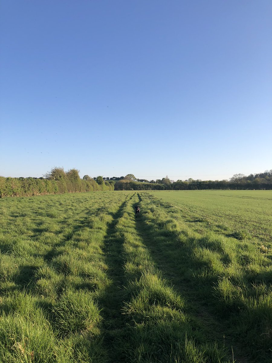 fillthewhole's tweet photo. When you can see the water and your #running path from behind the hedge but it’s ⛔️ (rightly so!) ... running through fields is hard 😫 🏃♀️
#rutlandwater #sonearsofar #StayHomeStaySafe #emptyfields https://t.co/wcz3KZRMvV