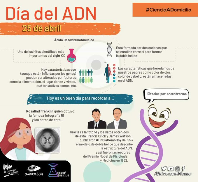 cbide_oaxaca's tweet photo. #UnDíaComoHoy 25 de Abril, se celebra el Día del ADN 🥳🧬🎂, aquí algunos datos interesantes 😎👇
#DíadelADN #ÁcidoDesoxirriboNucleico #AvánceCientífico #InnovaciónEnLaCiencia #PruebasdeADN #LaboratorioEspecializado #CBDE
Fuente: @UniversumMuseo https://t.co/MaTM3fzTro