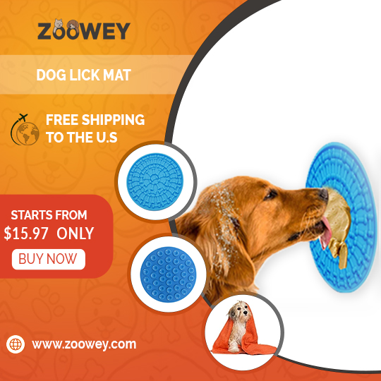 Zooweycom's tweet photo. Choose for your pet elegant accessories.😍
#Pet #Pet #Dog #Dogs #Cat #Cats #Pet_produt #Pets_products #Pet_supply #Pets_supplies #Dog_supply  #Dogs_supplies #Cat_supply #Cats_supplies #Animal
#buy_dog #dog_shop #bye_cat  #cat_shop #small_pet https://t.co/74ebMGO8On