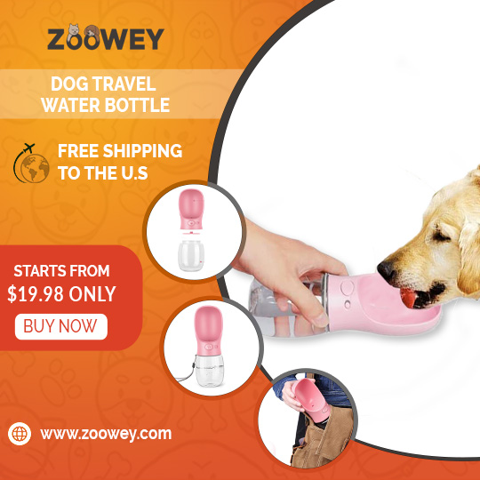 Zooweycom's tweet photo. Choose for your pet elegant accessories.😍
#Pet #Pet #Dog #Dogs #Cat #Cats #Pet_produt #Pets_products #Pet_supply #Pets_supplies #Dog_supply  #Dogs_supplies #Cat_supply #Cats_supplies #Animal
#buy_dog #dog_shop #bye_cat  #cat_shop #small_pet https://t.co/74ebMGO8On