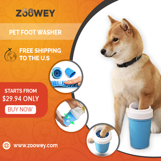 Zooweycom's tweet photo. Choose for your pet elegant accessories.😍
#Pet #Pet #Dog #Dogs #Cat #Cats #Pet_produt #Pets_products #Pet_supply #Pets_supplies #Dog_supply  #Dogs_supplies #Cat_supply #Cats_supplies #Animal
#buy_dog #dog_shop #bye_cat  #cat_shop #small_pet https://t.co/74ebMGO8On
