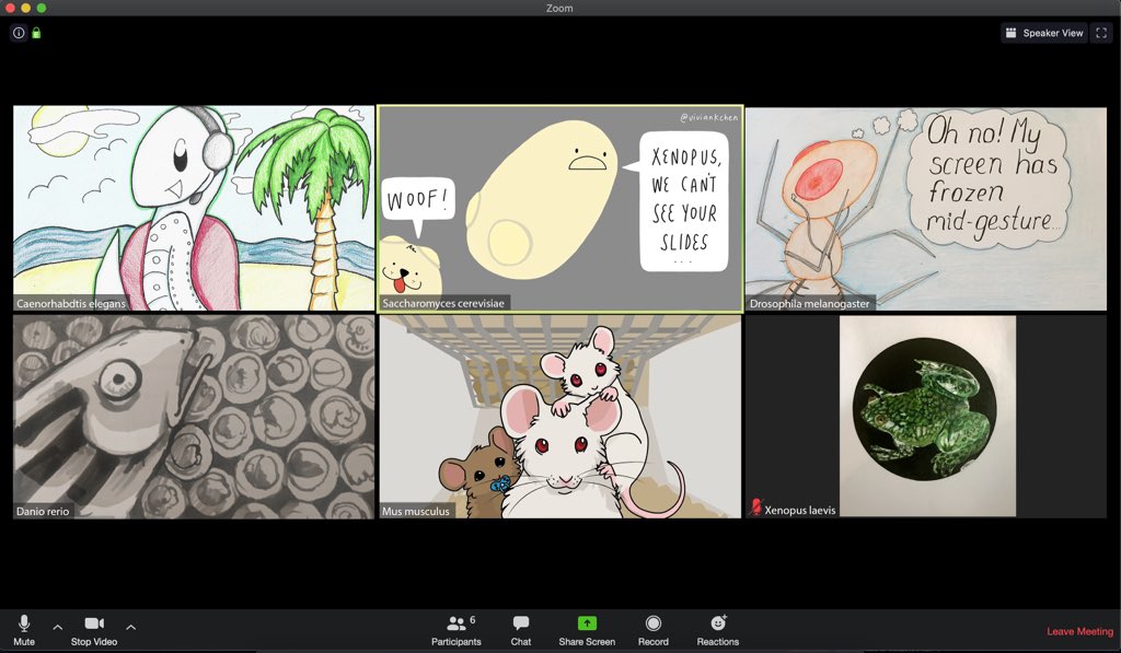 A sci-art collaboration in honour of #TAGC20 online. Being apart has brought all us closer together than ever. ❤️
(#Worm20: me, 
#Yeast20: <a href="/viviankchen/">Vivian Chen</a> 
#Dros20: <a href="/DaniedmundsDani/">fruit flies like a banana 🍌</a> 
#Zfish20: <a href="/SarahStednitz/">Dr. Sarah Stednitz</a> 
#Mammals20: <a href="/Sabretoothpaste/">Ellen Langille</a> 
#Xenopus20: <a href="/ScarlettLiW/">Scarlett Li-Williams</a>)
#PEQG20