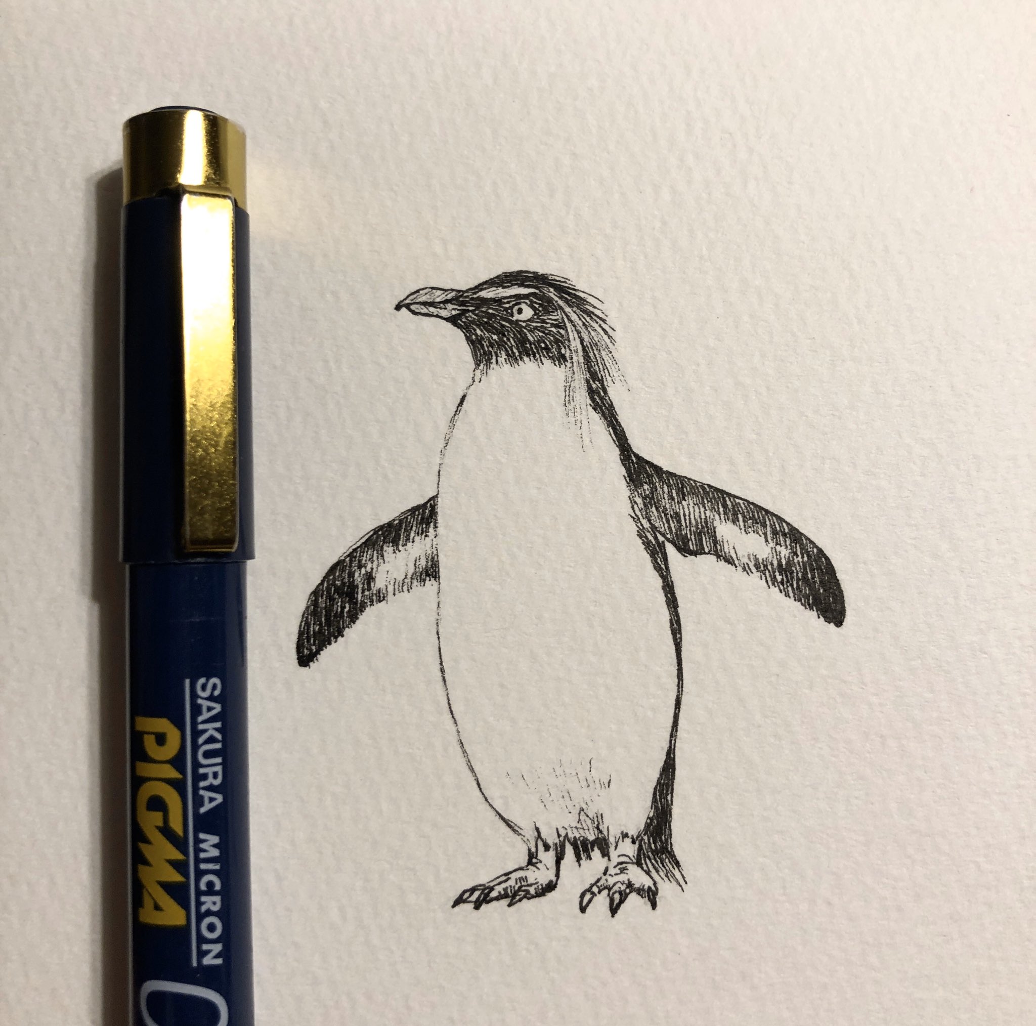 正規取扱店 ボールペン画、ペンギン 絵