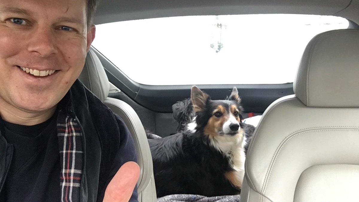 ollymott's tweet photo. @TheKennelClubUK Our collie-cross rescue Bella has been with us for nearly ten years and just lost her best friend Baron. She’s an accomplished digger and a wonderful dog.

#TheKennelClubUKOnlineDogShow https://t.co/0eJXd1950S