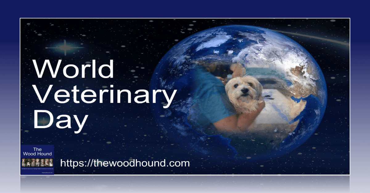 DenaBriley's tweet photo. APRIL 25TH
WORLD VETERINARY DAY – OBSERVED AROUND THE WORLD
Find more about this #dogholiday and even more #holidaysfordogs in April => https://t.co/SyXEK6OmJ9 https://t.co/3Q5BqMzQmR
