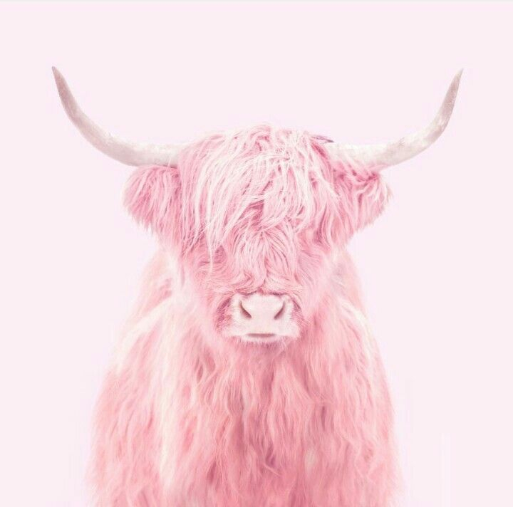 HAPPY BIRTHDAY TAURUS⁠

Independent, loyal, maternal and quick to temper.⁠
Loving, authentic, direct and passive-aggressive.⁠
⁠
A lovely cocktail of strong emotions, with horns.⁠
⁠
📸@pinterest #taurus #beautyeditor #美容 #化妝 #保濕 #美白 #elixseri #puretechbeauty